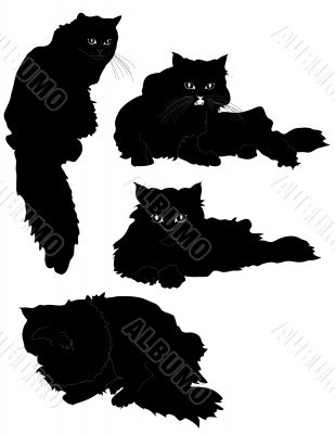 cats silhouette