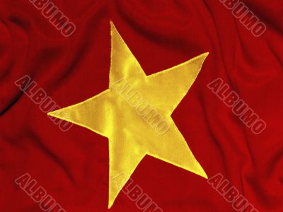 Vietnamese Flag