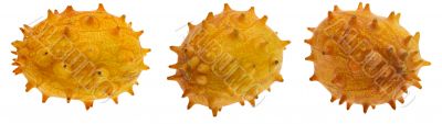 Kiwano, exotic fruit