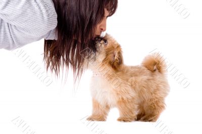Smelling puppy Smelling puppy