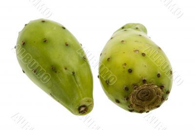 Fig of the cactus, prickly pear