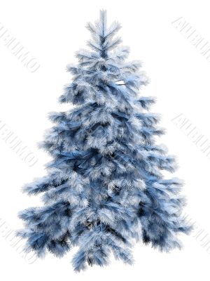 Blue christmas tree with clipping path