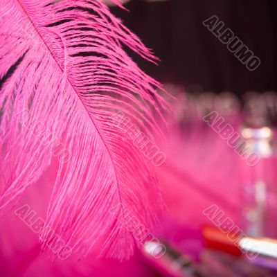 Pink Feather Glamour