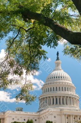 US Capitol