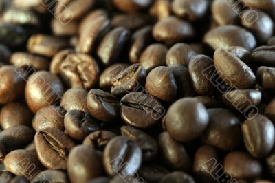 Fragrant fried coffee beans