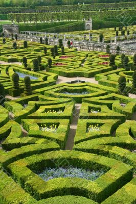 French formal garden