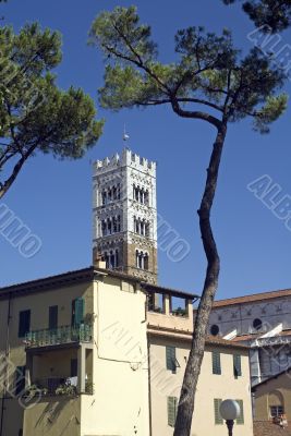 Lucca (Tuscany) - Houses, trees and belfry