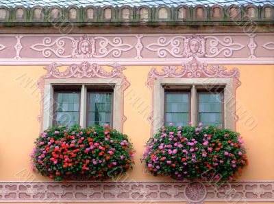 Flowered windows odfObernai townhall - Alsace