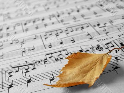 autumnal melody