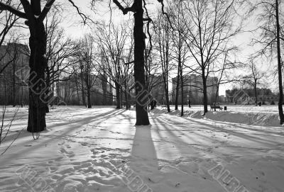 Shadows on snow