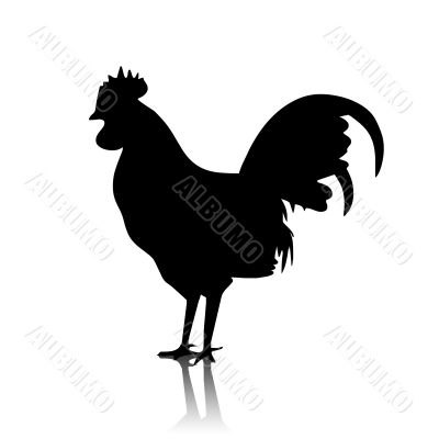 Cock shape