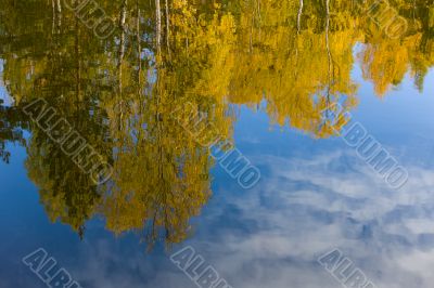 Autumn in lake