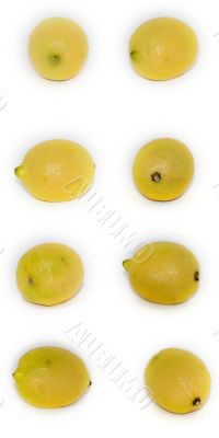 Lemon isolated on white Lemon isolated on white