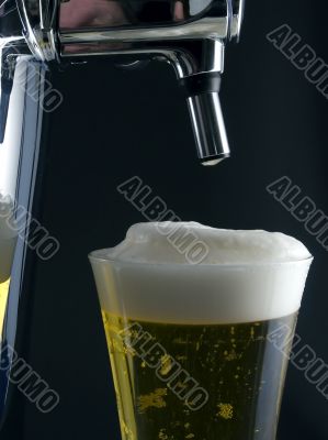 Cold Beer Cold Beer
