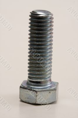 Bolt Bolt