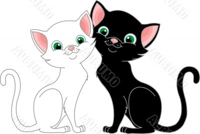 black_white black_white