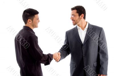 businesspeople communicating and shaking hand