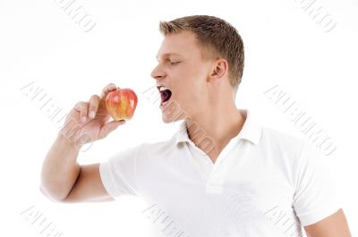 handsome man going to eat apple