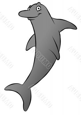 Cartoon Dolphin