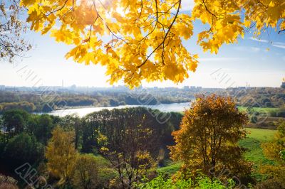 fall scenery