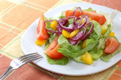 Fresh salad with tomatoes Fresh salad with tomatoes