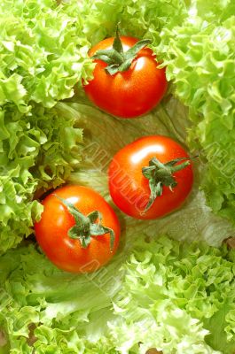 Fresh salad with tomatoes Fresh salad with tomatoes