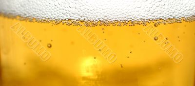 Glass of beer close-up with bubbles