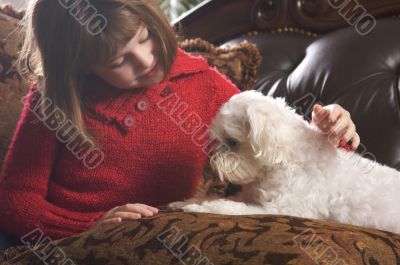 Young Girl with Her Maltese Puppy Young Girl with Her Maltese Puppy