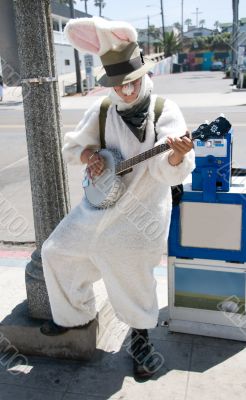 Easter Bunny Playing Banjo Easter Bunny Playing Banjo