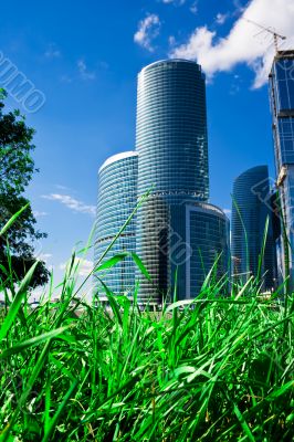 Green grass and skyscrapers
