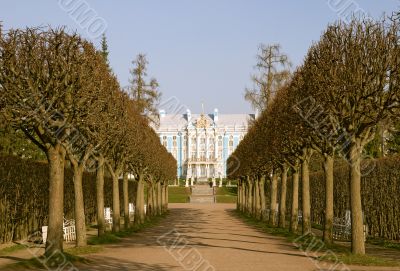 View of park in Pushkin