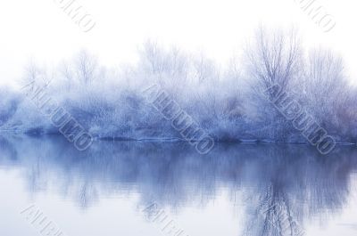 White winter landscape