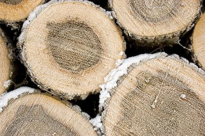 Pile of frozen logs Pile of frozen logs
