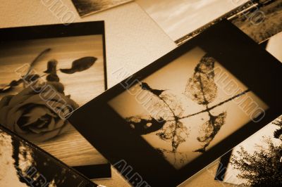 Photo Album