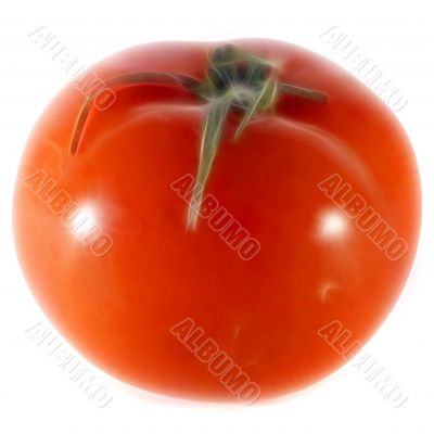tomato