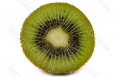 Kiwi isolated on white