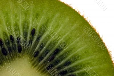 Kiwi close-up