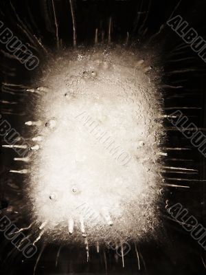 Abstract ice figure