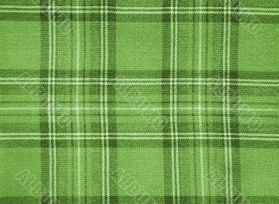 Green checked fabric