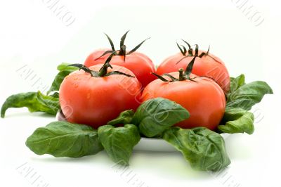 Tomato and basil