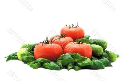 Tomatoes and basil