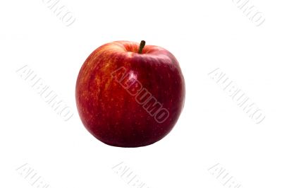 Red apple