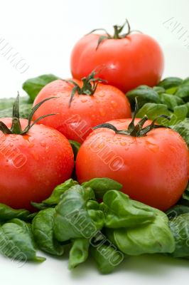 Tomato and basil