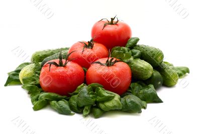 Tomato and basil