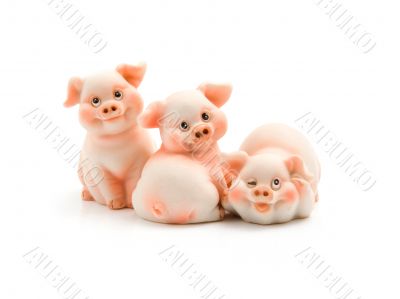 Three funny piggie
