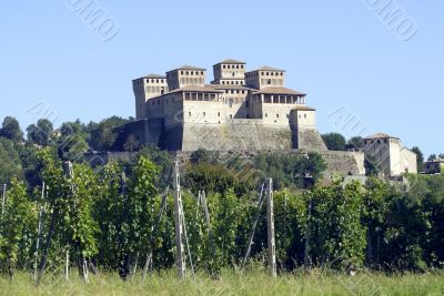 Castle of Torrechiara and vineyard