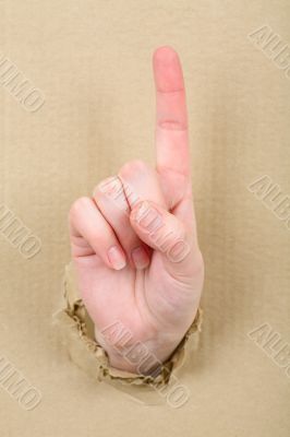 Gesture female hand through cardboard
