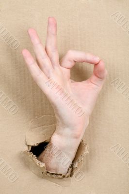 Gesture male hand through cardboard