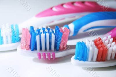 Close-up of tooth brushes