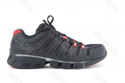 running shoes on white background